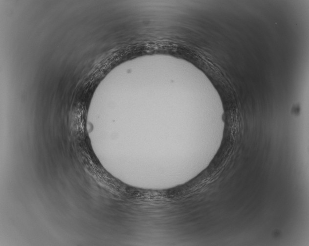 X0000116020770200912111351