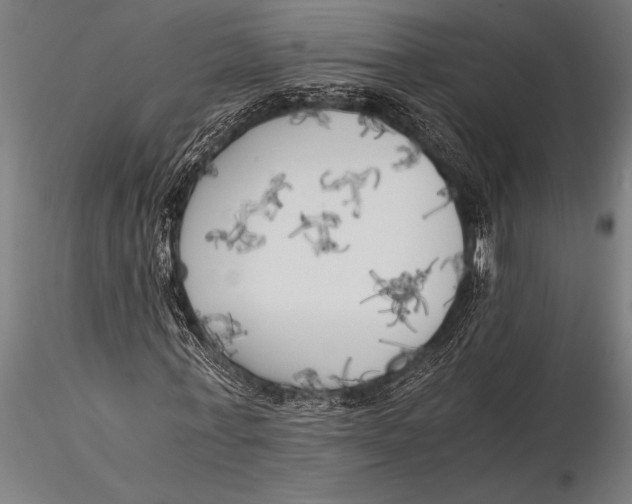 X0000116020771200912111351