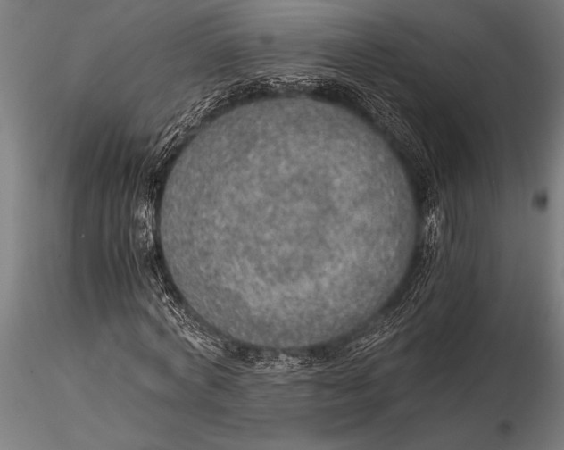 X0000116020772200912111351