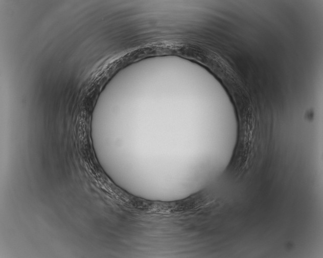 X0000116020773200912111351