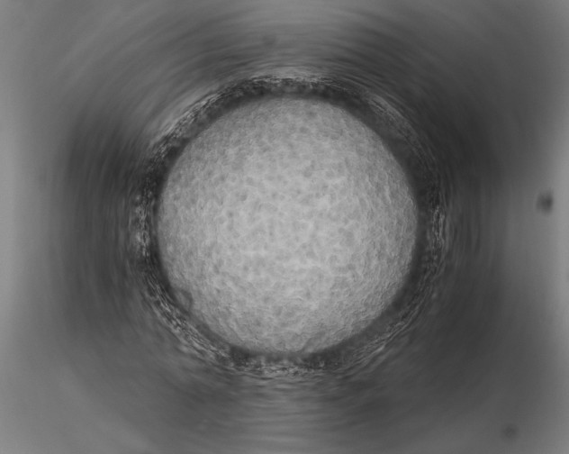 X0000116020774200912111351