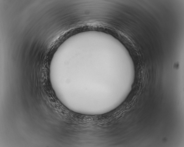 X0000116020776200912111351