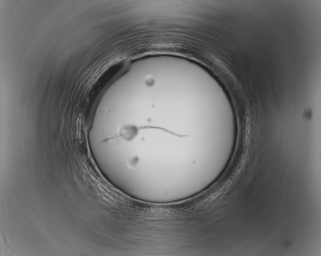 X0000116020777200912111351