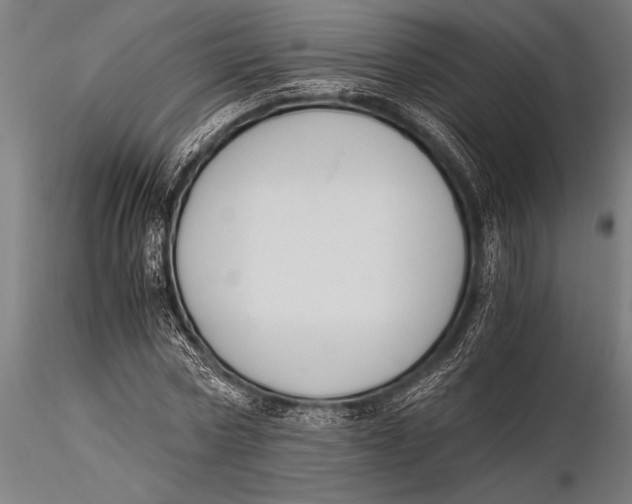 X0000116020778200912111351