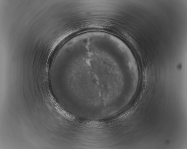 X0000116020779200912111351