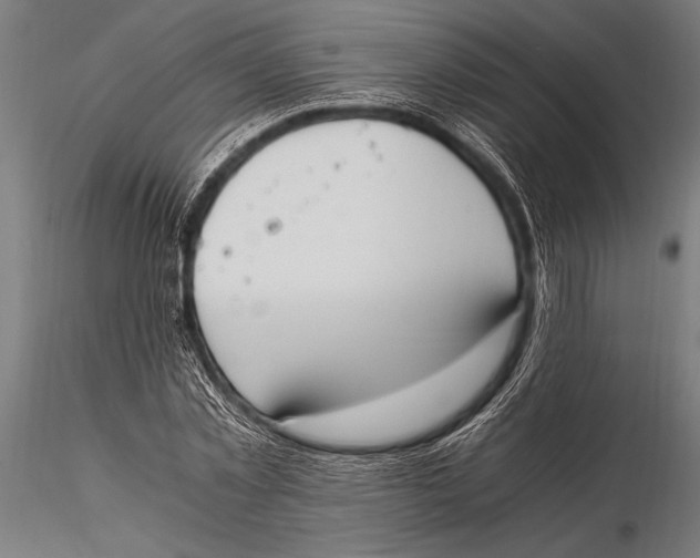 X0000116020781200912111351