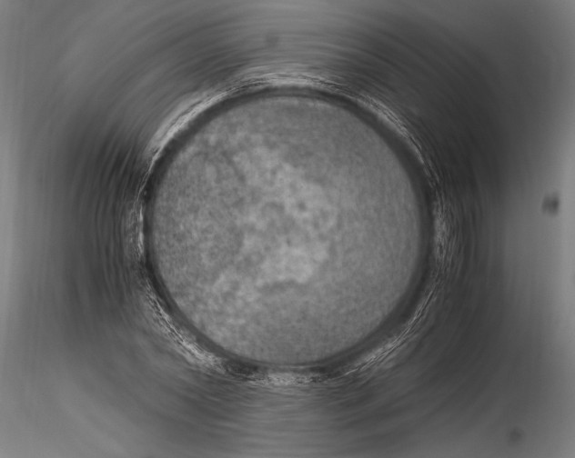 X0000116020782200912111351