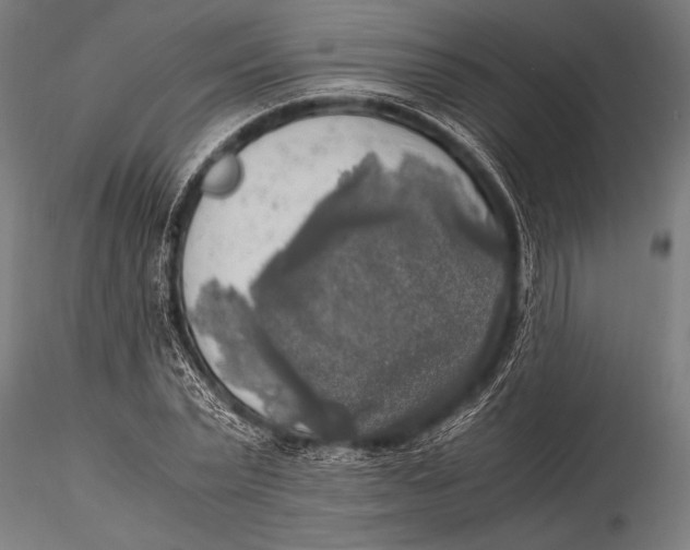 X0000116020783200912111351