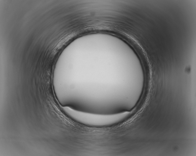 X0000116020785200912111351