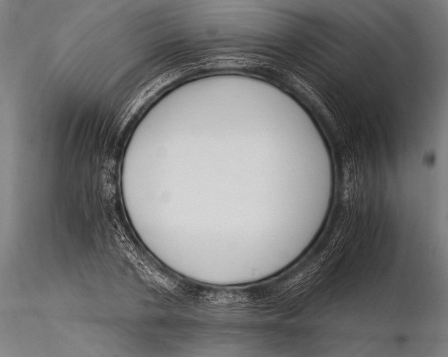 X0000116020786200912111351