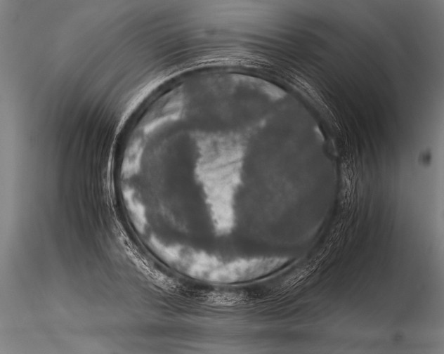 X0000116020788200912111351