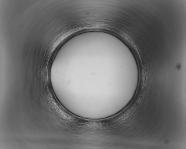 X0000116020789200912111351