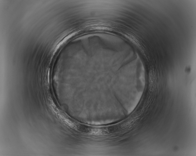 X0000116020790200912111351