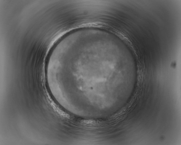 X0000116020792200912111351