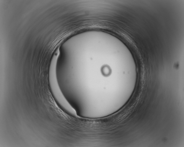 X0000116020793200912111351