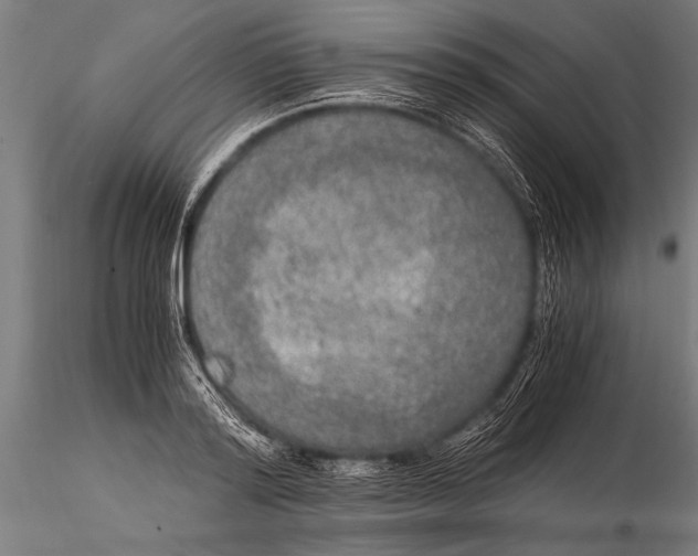 X0000116020796200912111351