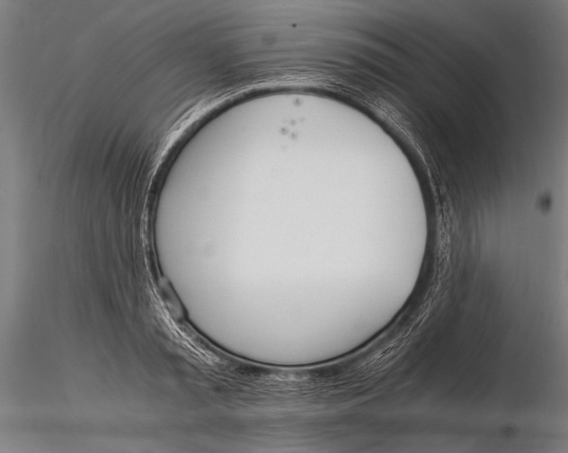 X0000116020797200912111351