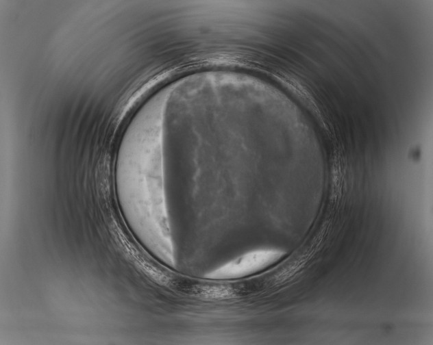 X0000116020798200912111351