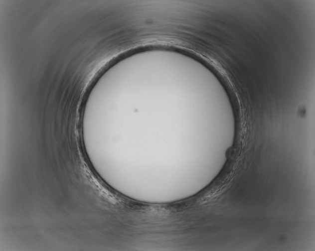 X0000116020799200912111351