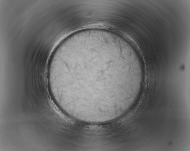 X0000116020800200912111351