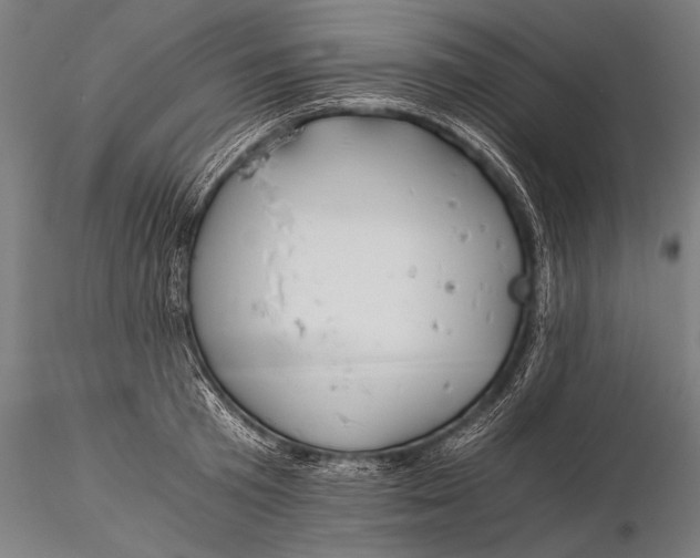 X0000116020801200912111351