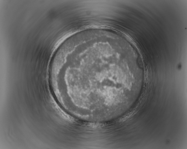 X0000116020803200912111351