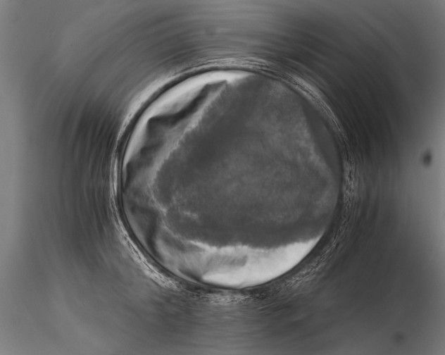 X0000116020804200912111350