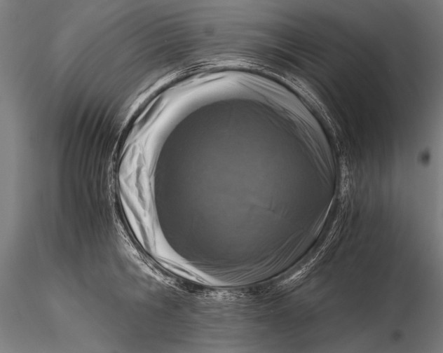 X0000116020806200912111350