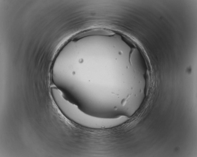 X0000116020807200912111350