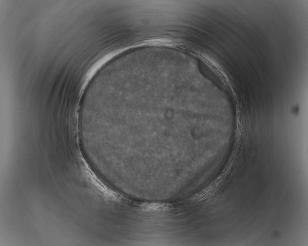 X0000116020808200912111350