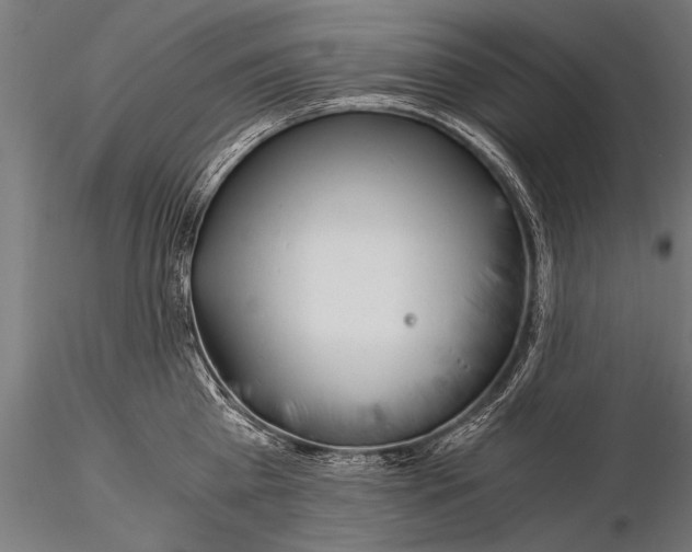 X0000116020809200912111350