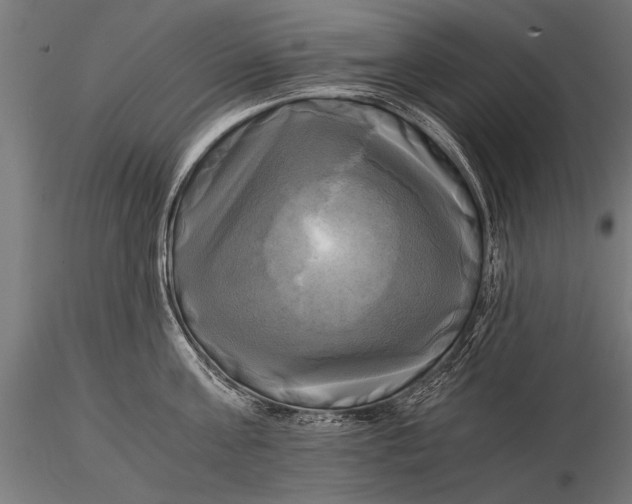 X0000116020811200912111350