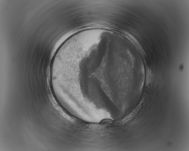 X0000116020812200912111350