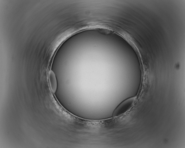 X0000116020813200912111350