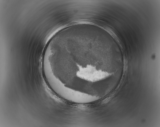 X0000116020814200912111350