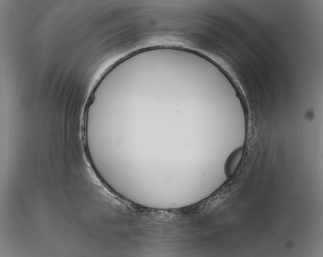 X0000116020815200912111350