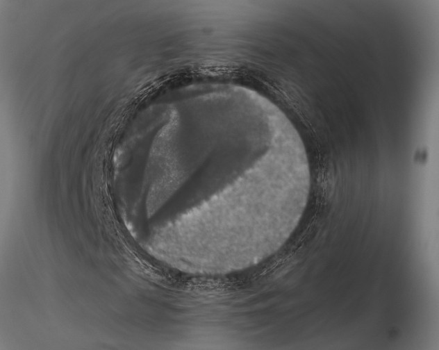 X0000116020817200912111350