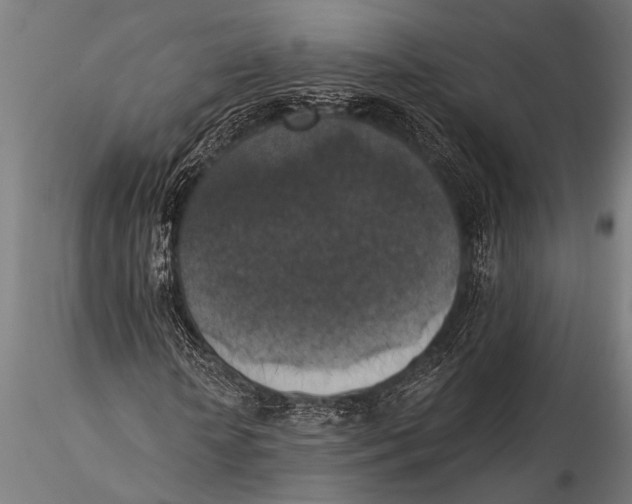 X0000116020818200912111350