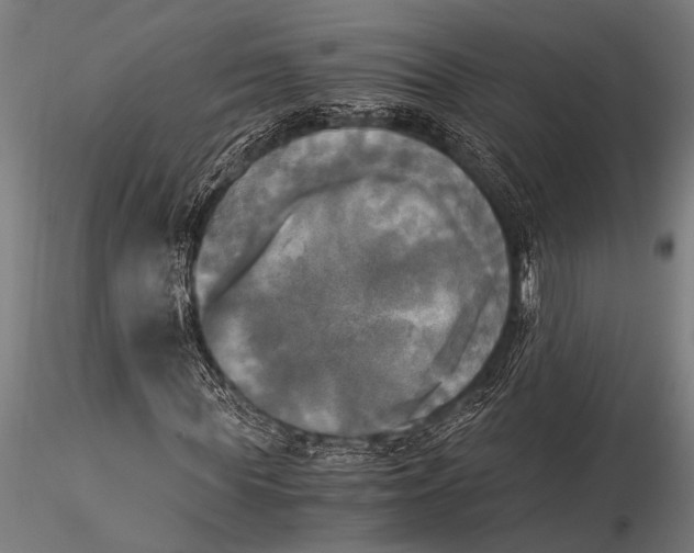 X0000116020819200912111350