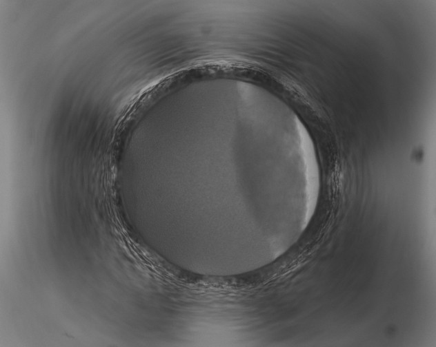 X0000116020822200912111350