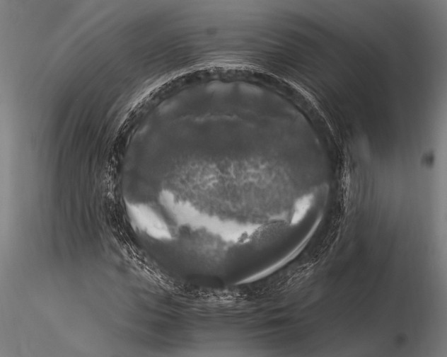 X0000116020823200912111350