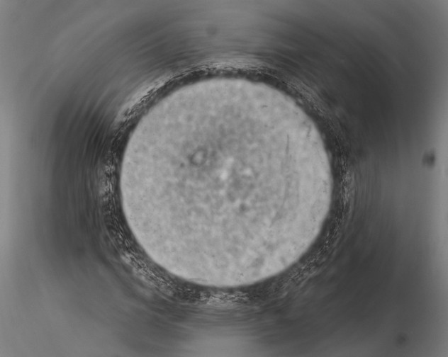 X0000116020824200912111350