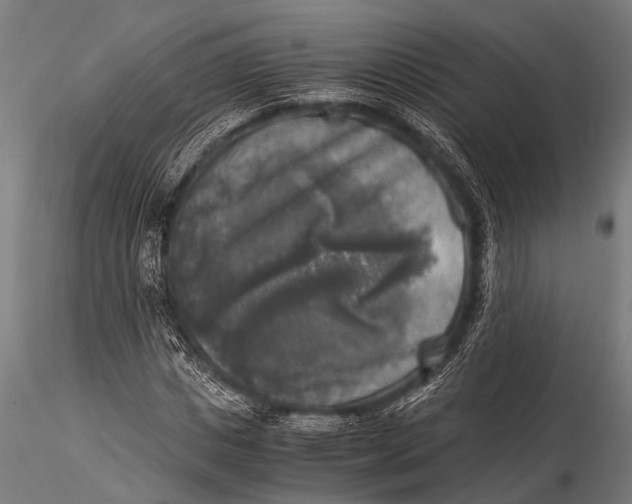 X0000116020825200912111350