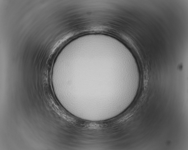 X0000116020827200912111350