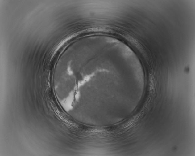 X0000116020830200912111350