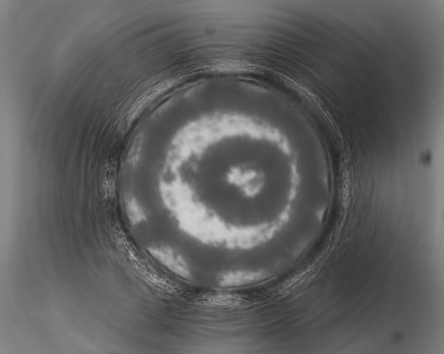 X0000116020833200912111350