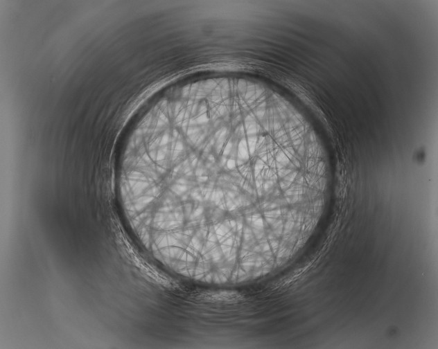 X0000116020837200912111350