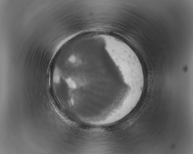 X0000116020838200912111350