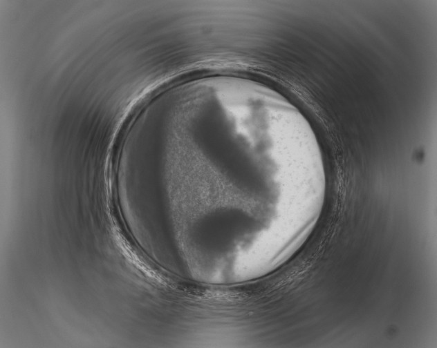 X0000116020840200912111350