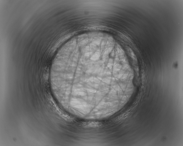 X0000116020841200912111350